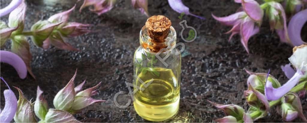 Comprar Clary Sage Natural Essential Oil